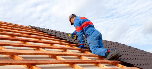 Best Commercial Roofing Services  in South Elgin, IL